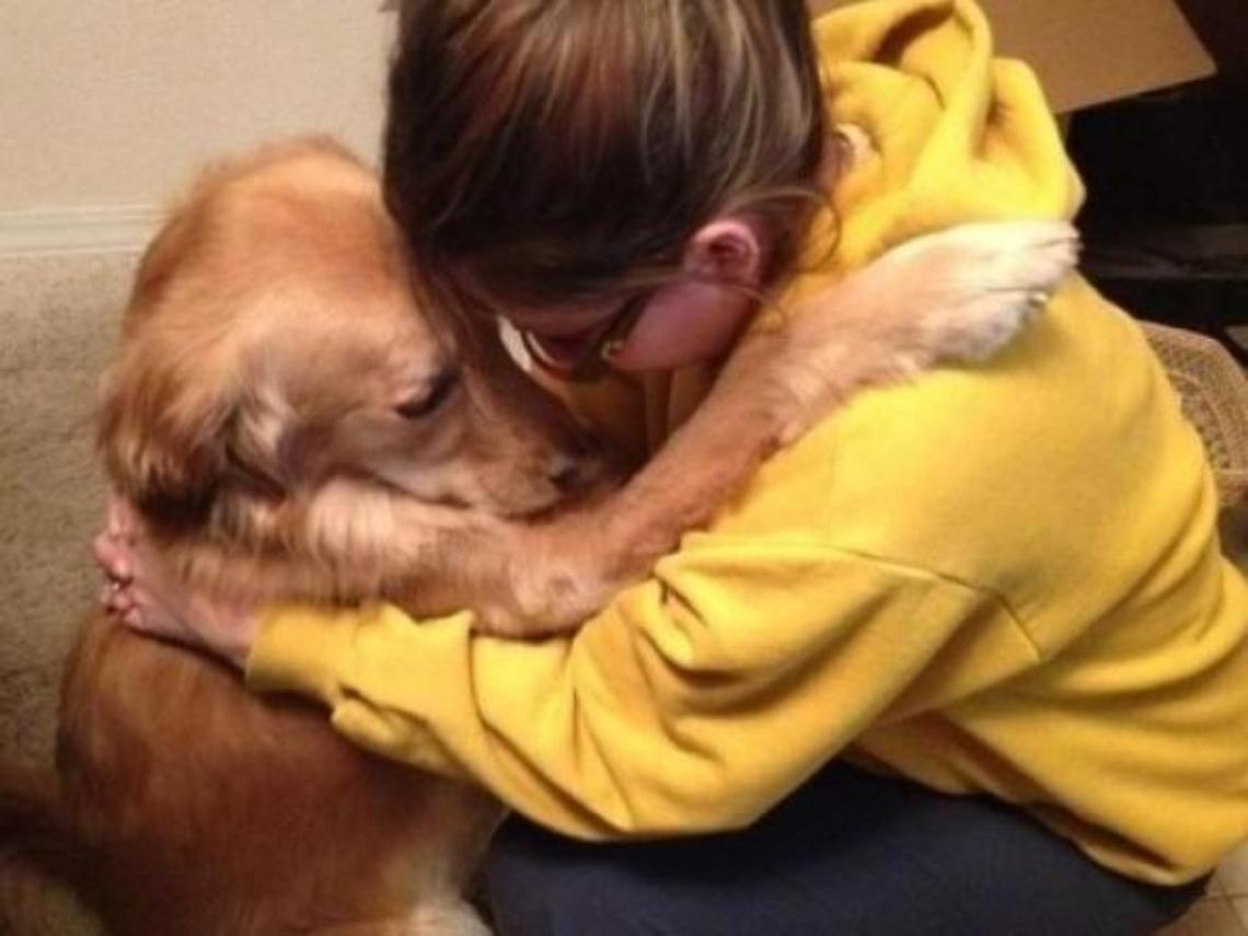 Una polpetta piena di viti per ammazzare un labrador usato per la pet therapy