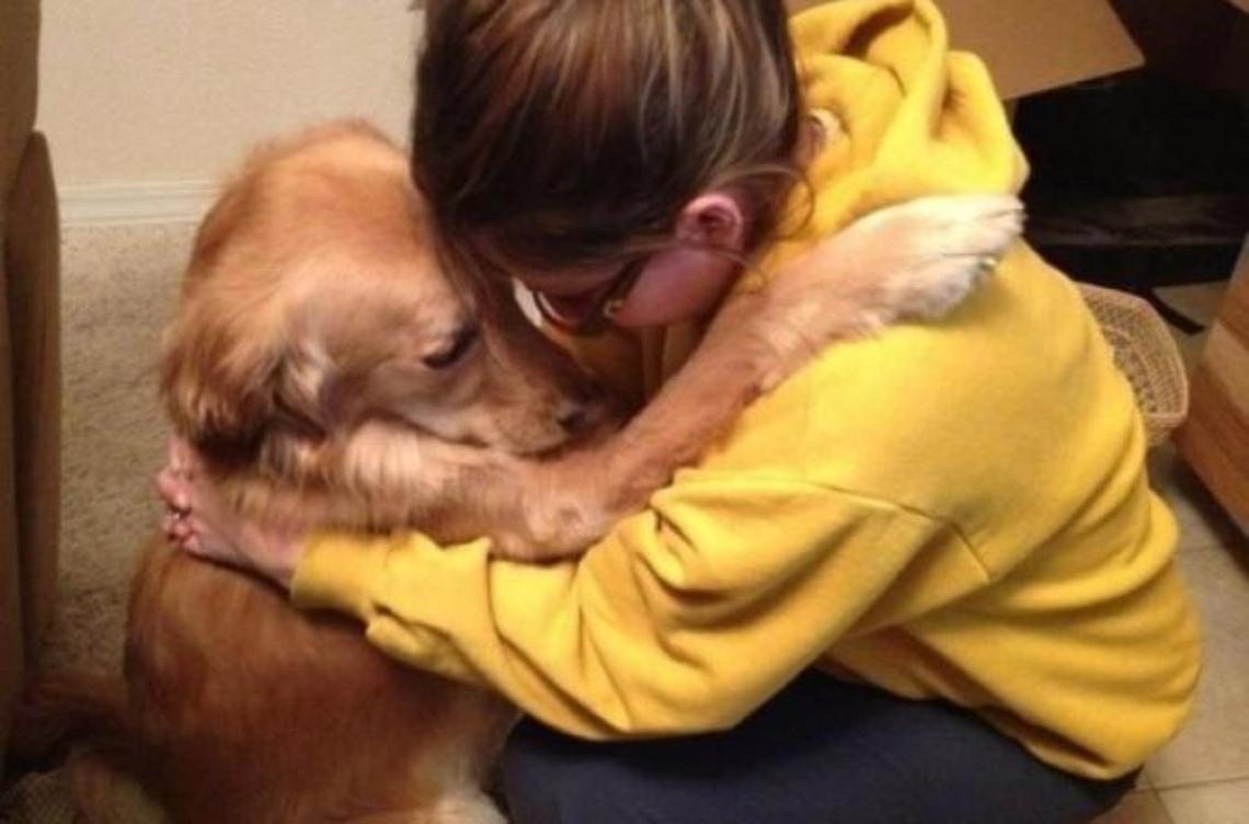 Investito e abbandonato, un altro cane agonizzante trovato in strada