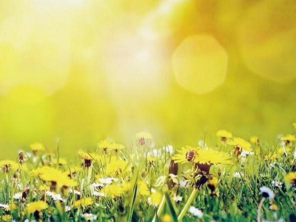 Quel fastidioso mal di...primavera: i consigli dell'esperto per combatterlo