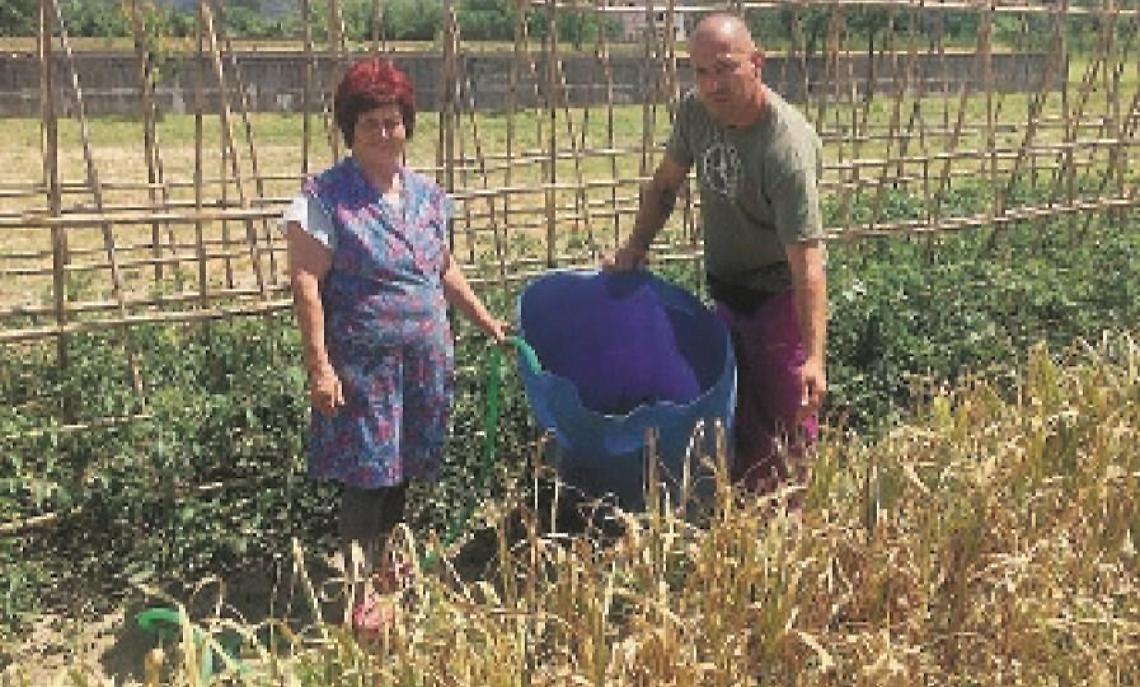 Liquami nel fiume Liri: niente acqua per i campi. Situazione al collasso