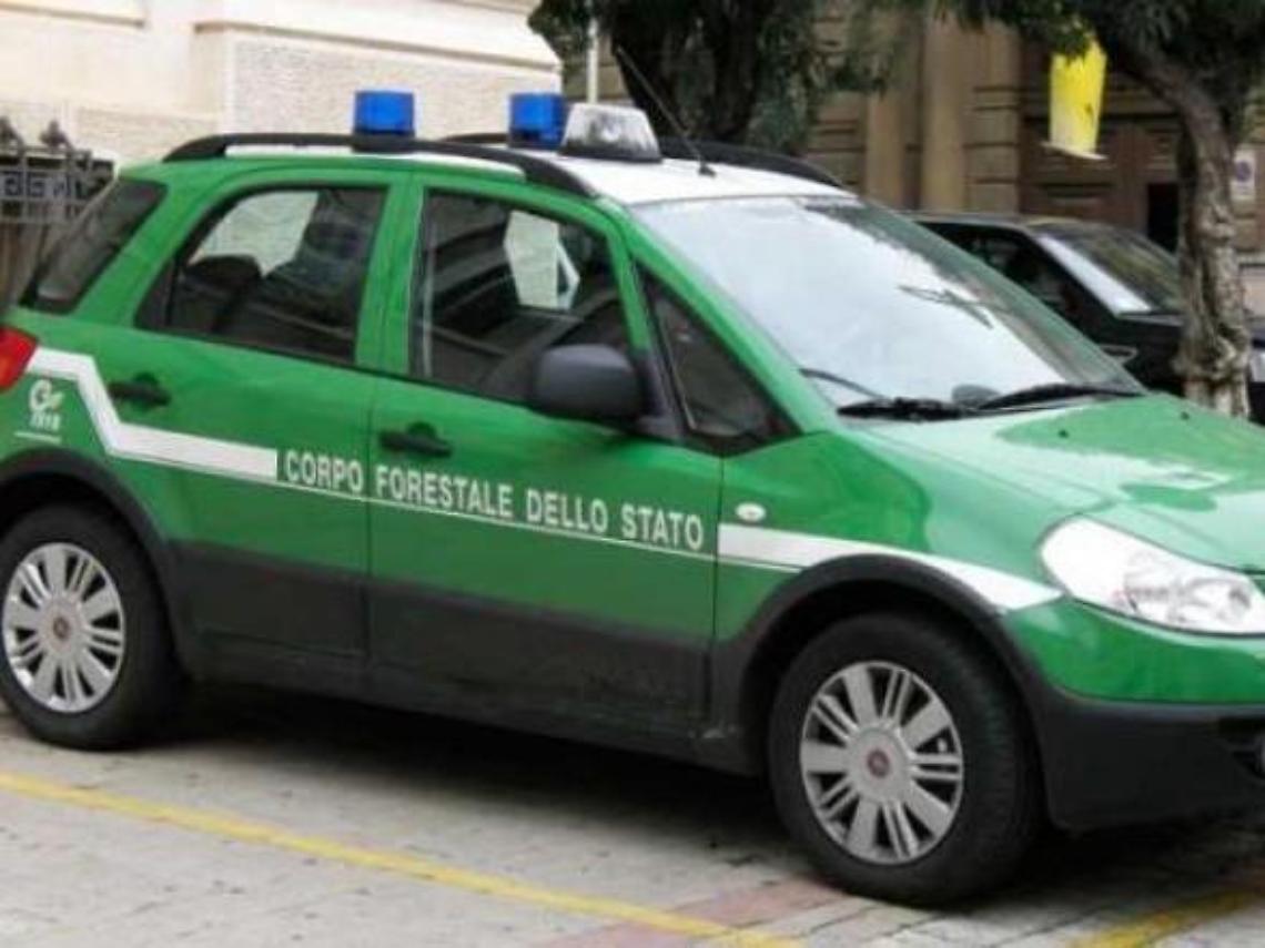 Caccia agli scarichi sospetti: controlli a tappeto in dodici aziende