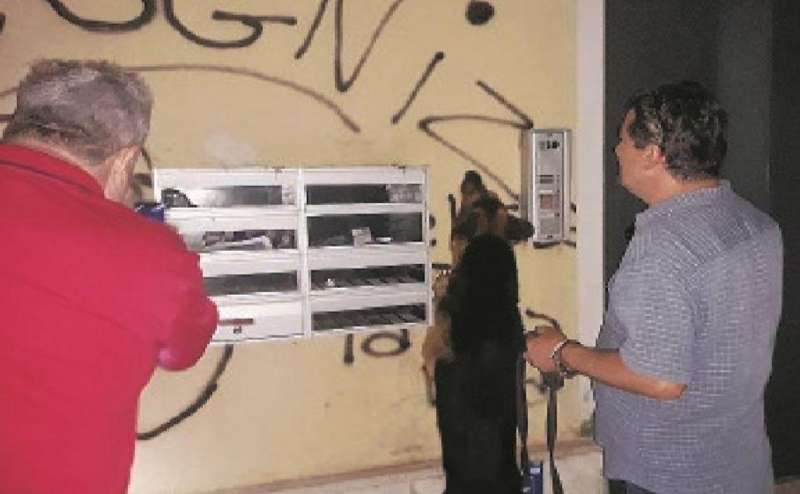 Droga a go go e ragazzini molesti: drink, risate e... violenza