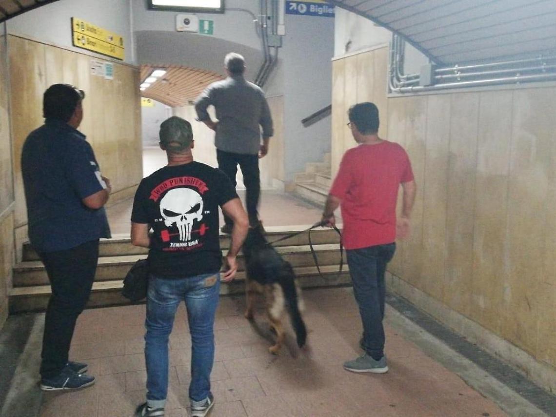 Immigrati spacciatori fermati dal fiuto del cane Enduro: la polizia non molla