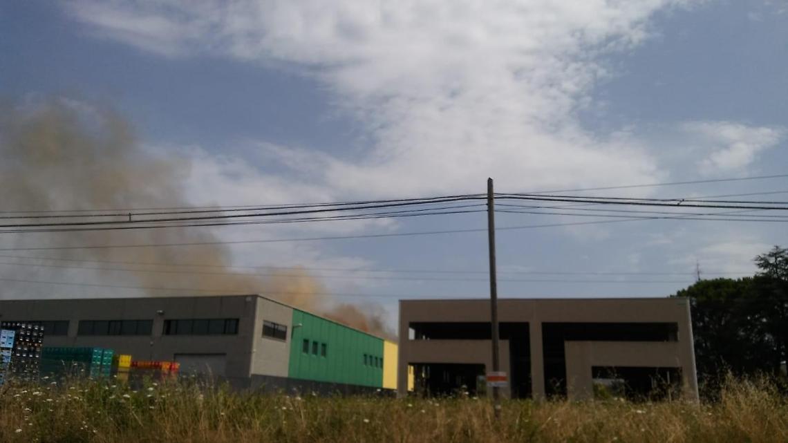 Ferentino, fiamme nell'area industriale: paura per uno stabilimento