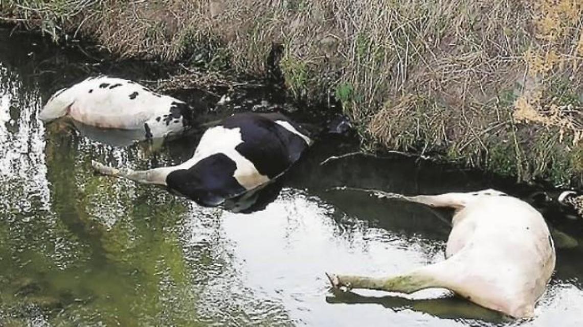 Valle del Sacco, sos inquinamento dopo tredici anni di veleni