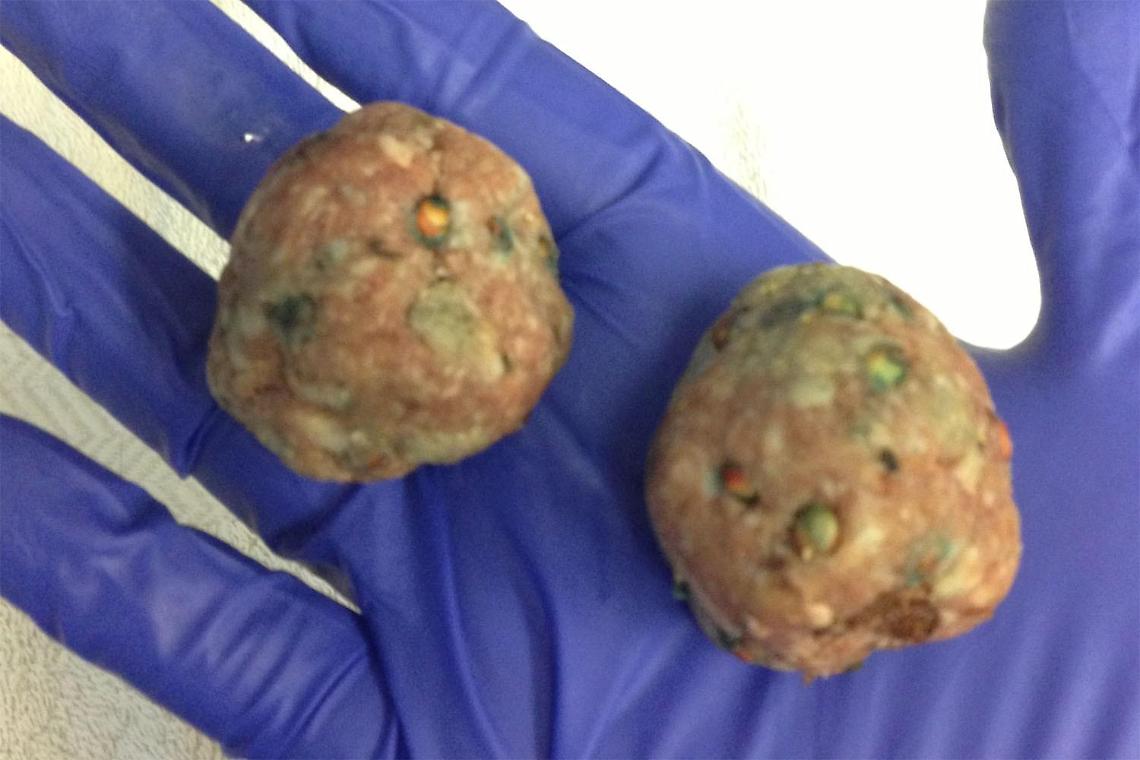 Polpette avvelenate lungo le strade e nei giardini privati: morti già due cani