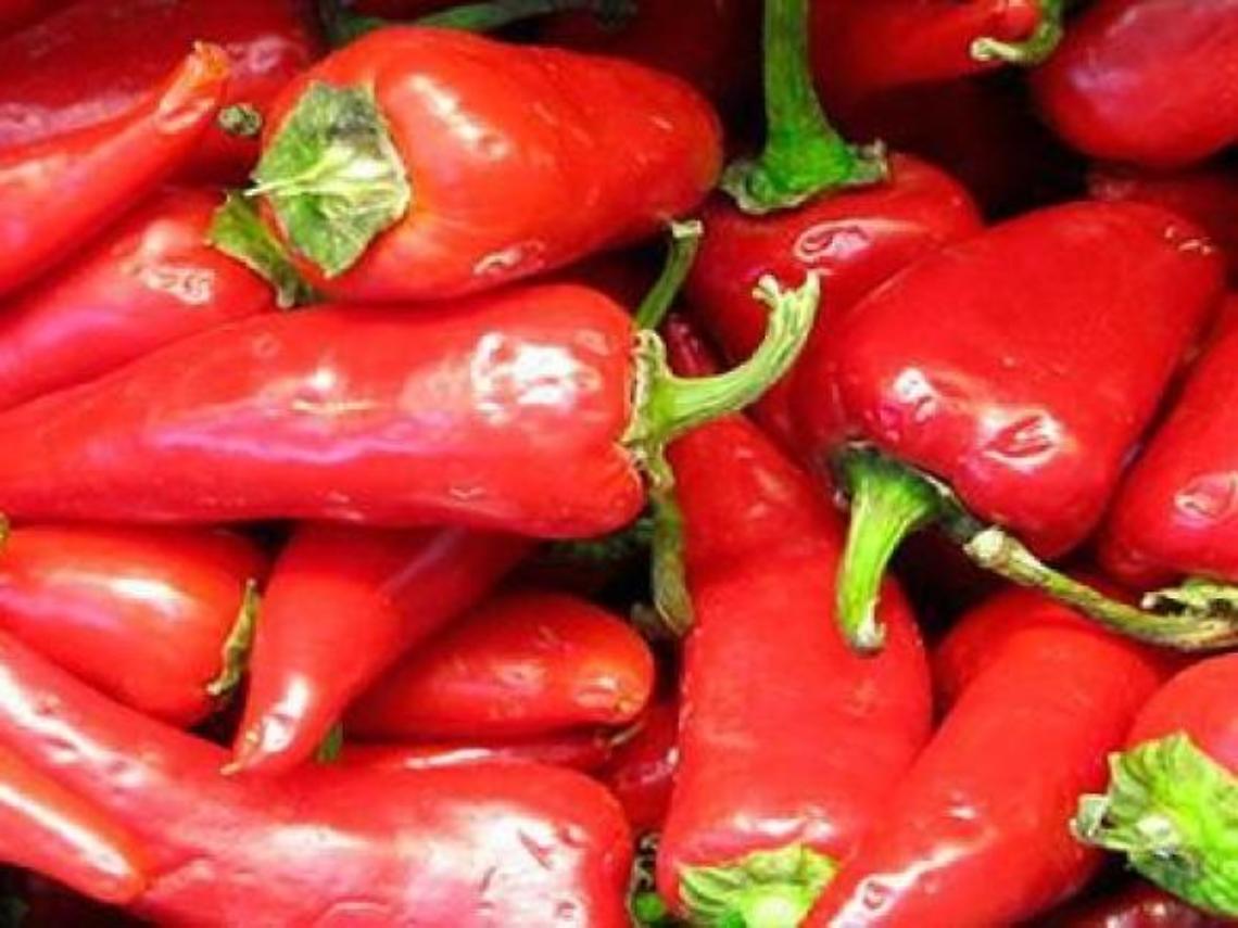 Pontecorvo, tutto pronto per la festa del Peperone Dop: ecco quando si terrà