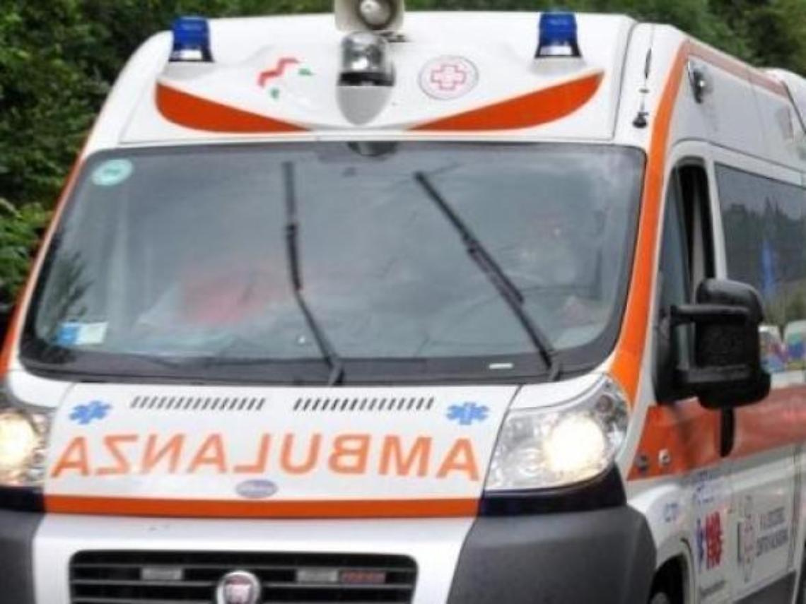Piedimonte, cade mentre raccoglie fichi d'India e muore