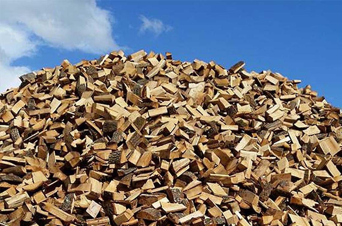 Tagliano alberi e rubano la legna, scatta la denuncia per due