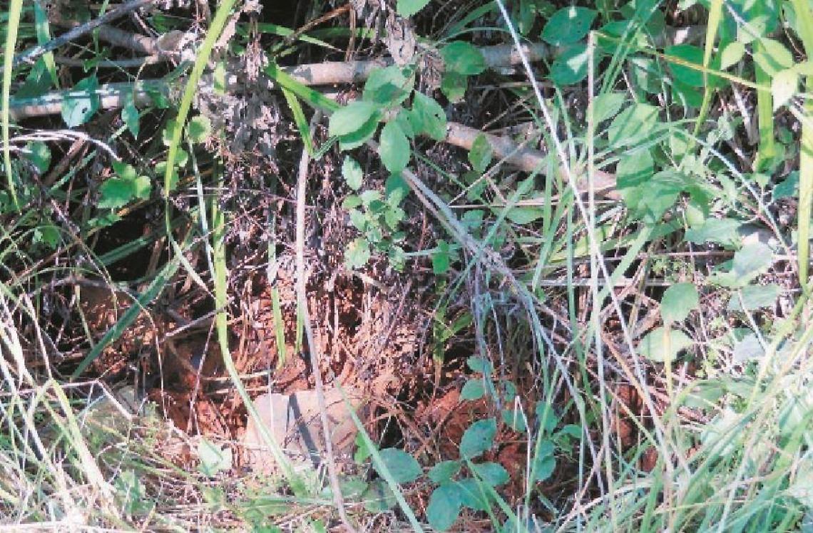 Incubo acque rosse: chiesti i dati dell'Arpa, cresce l'allarme