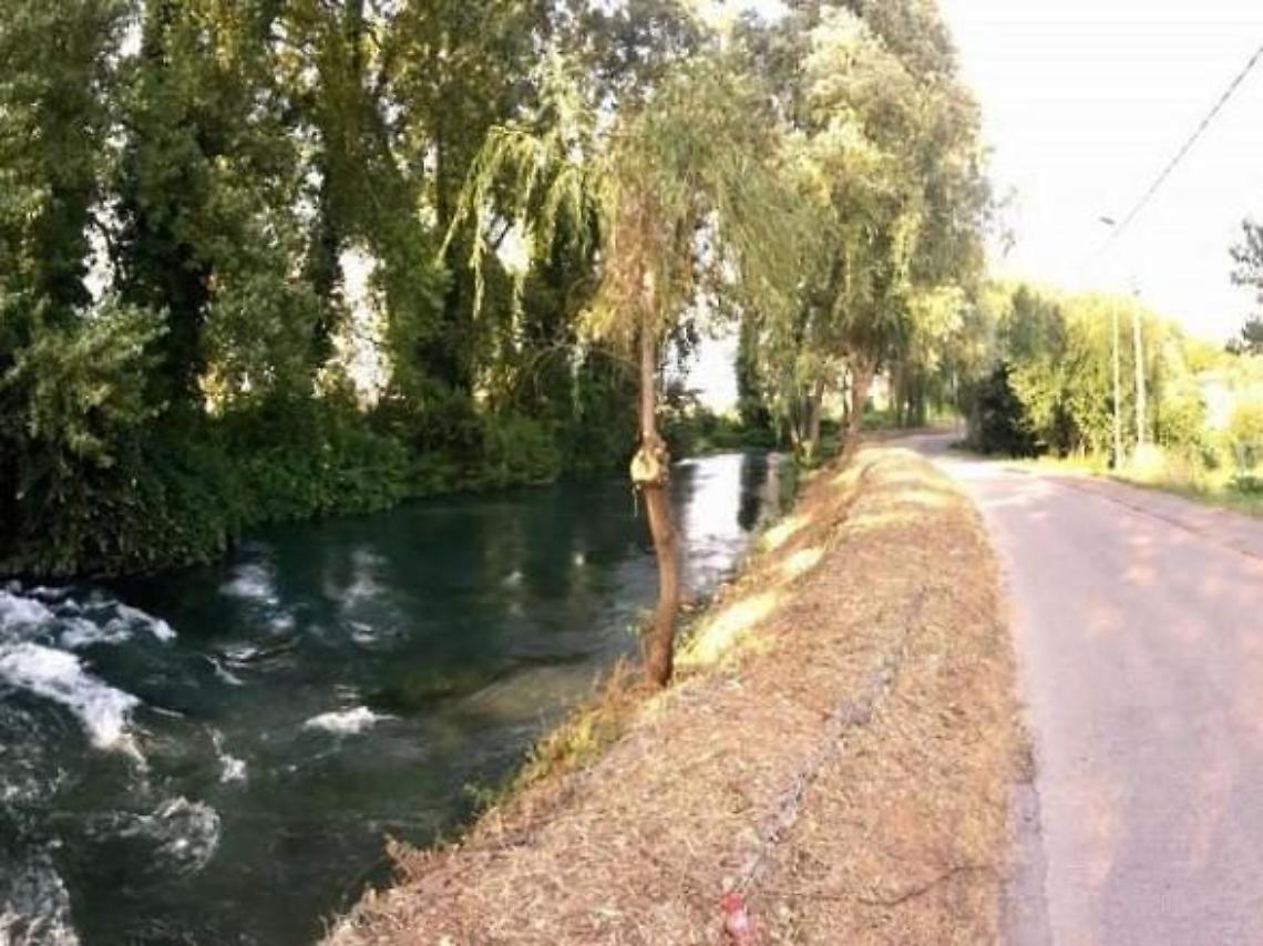 Lungo Fibreno da brividi, cani pericolosi sul percorso: l'appello dei cittadini