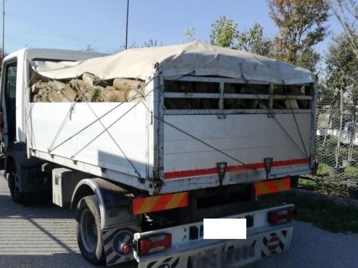 Arriva anche in Ciociaria la truffa della legna da ardere: ecco come funziona