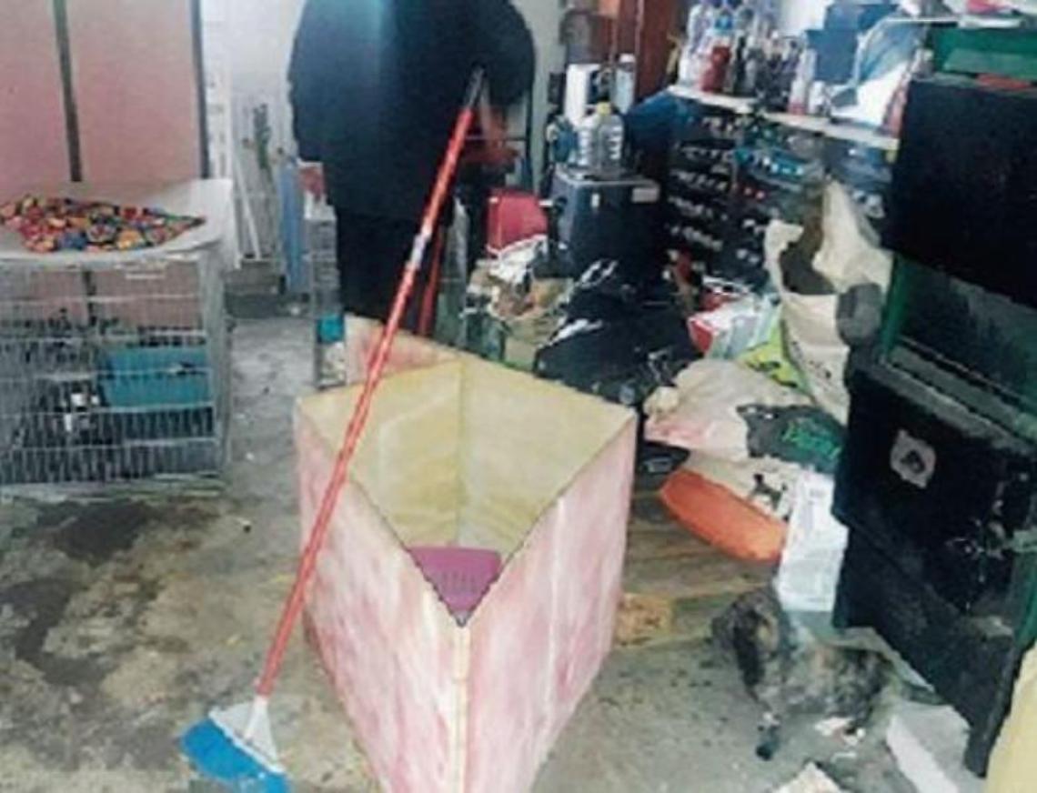 Scoperto un canile 'lager': quattro persone finiscono nei guai