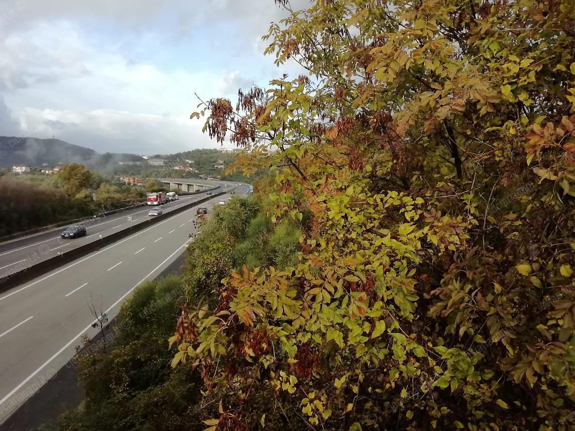 Giovane scompare di casa: trovato stamattina sul ciglio del viadotto