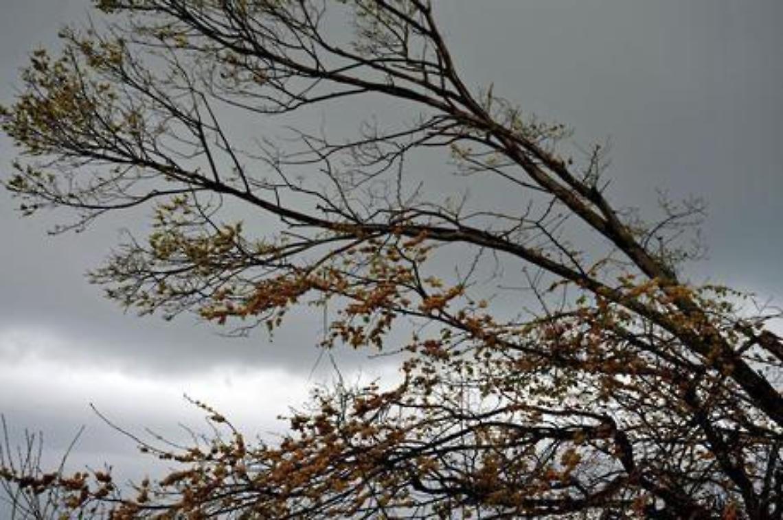 Allerta meteo: previsti forti venti e criticità in tutto il territorio