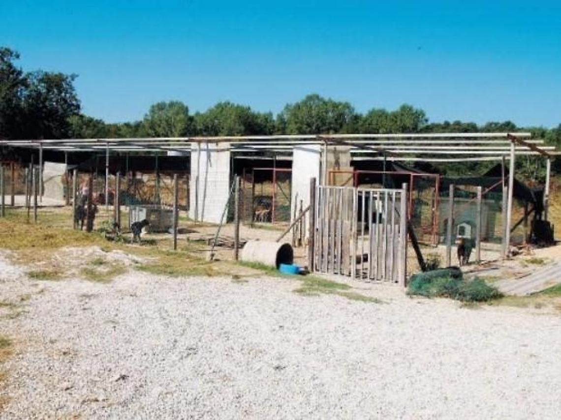 Ceprano, il canile sarà ristrutturato: via libera al progetto