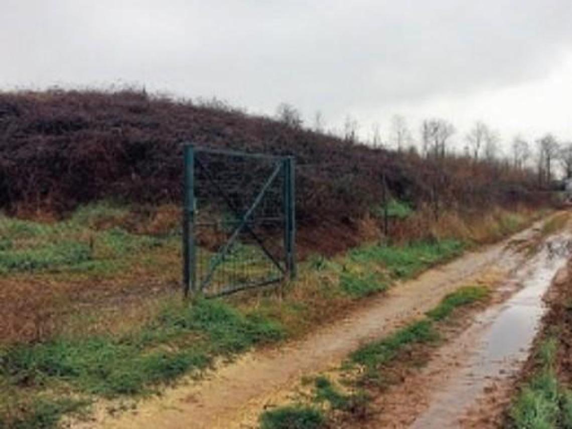 Discarica di Radicina: inizia un nuovo corso per l'area inquinata