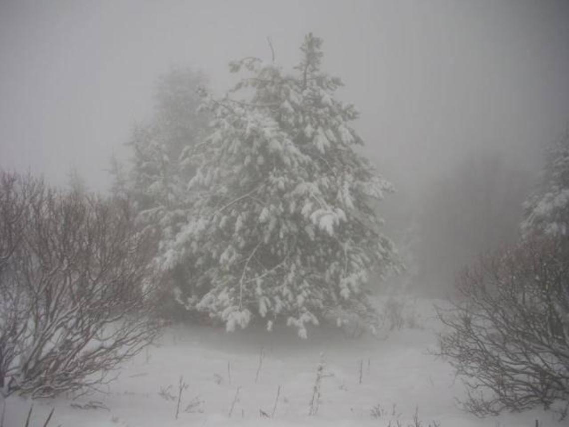 Maltempo, nevica in Ciociaria: dalla serata neve anche a basse quote