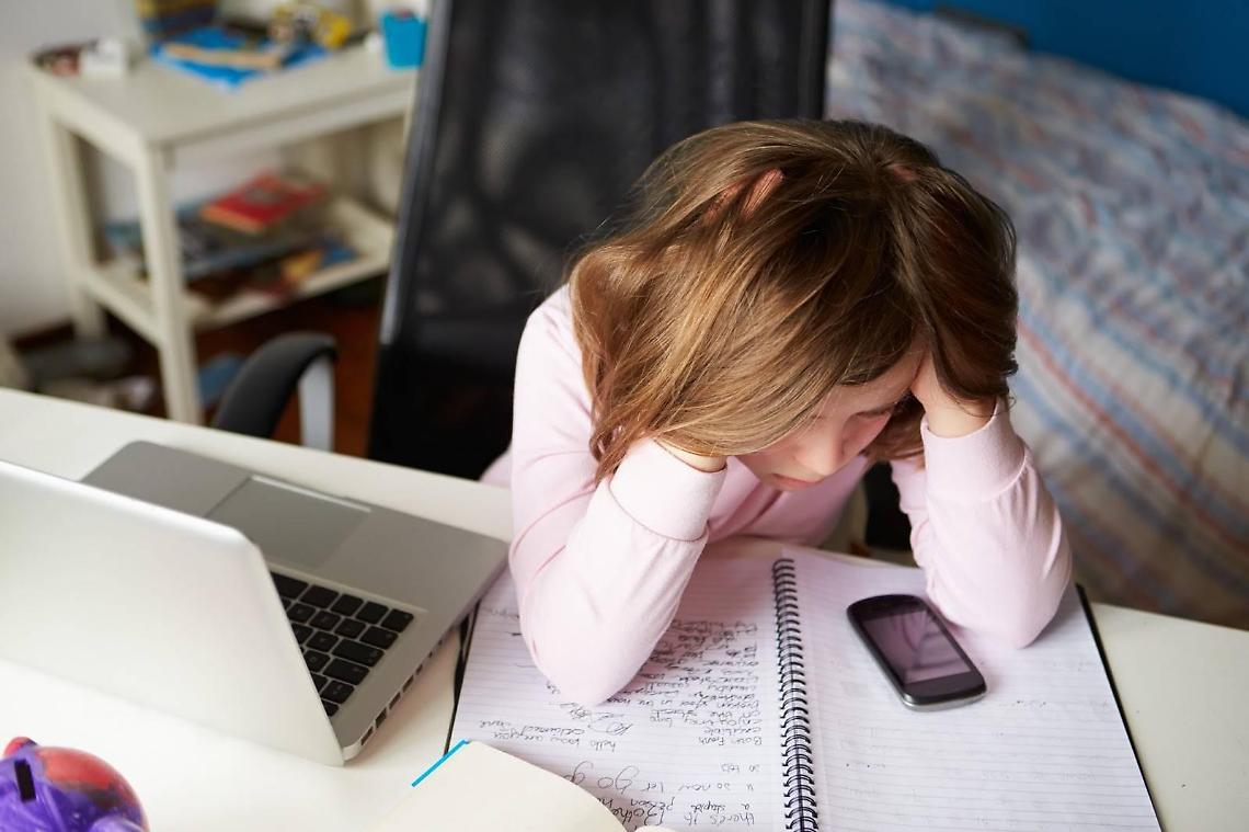 Bullismo e cyberbullismo, come combatterli: le indicazioni in un convegno