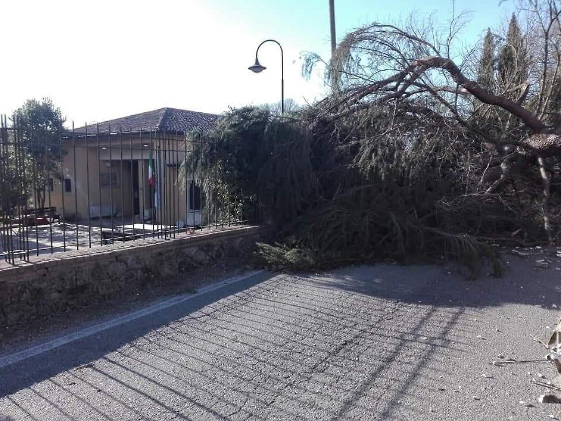 Paliano: tetti scoperchiati, alberi in strada e due principi d'incendio