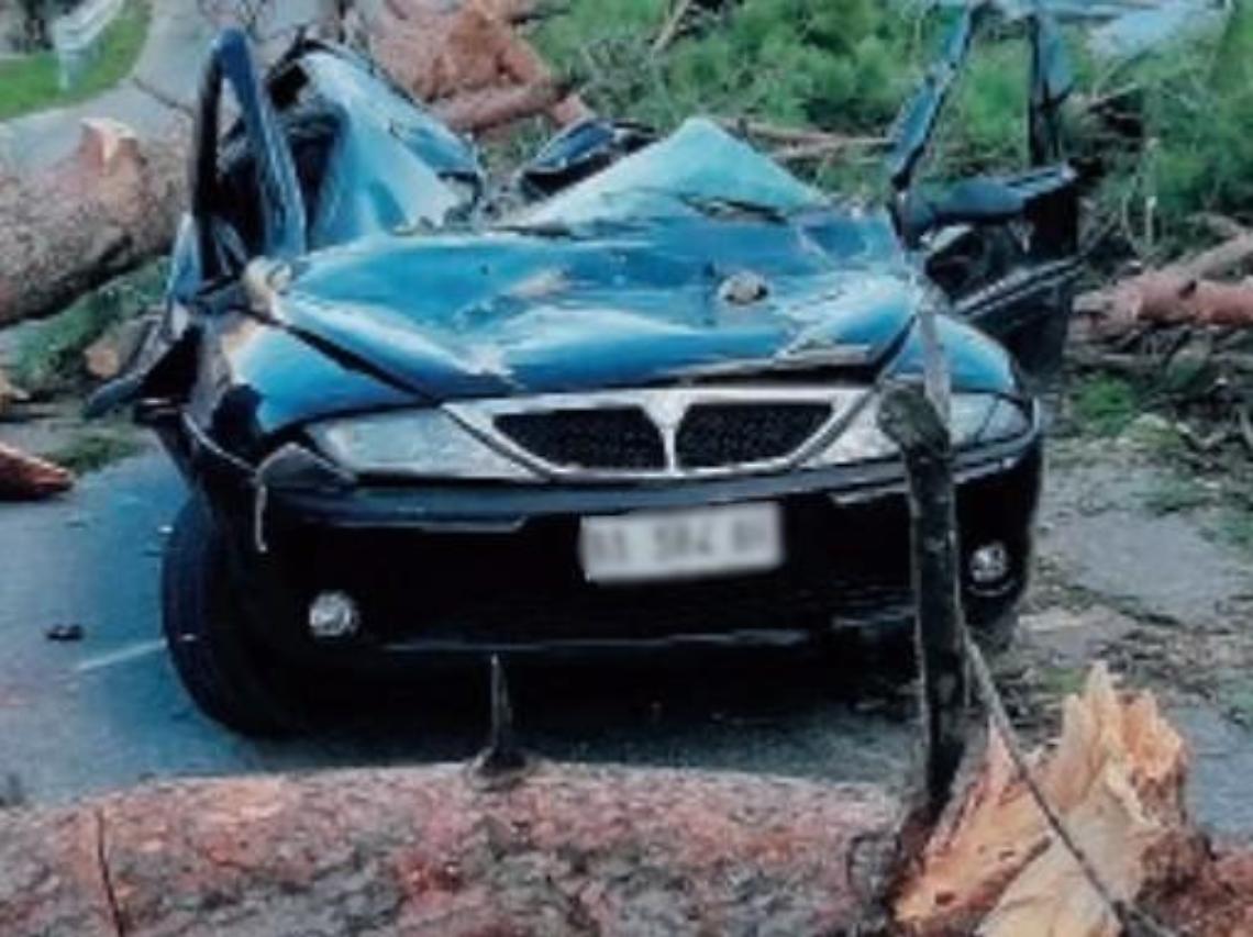 Albero si abbatte su auto, donna scampata al vento killer: il grazie di Claudia