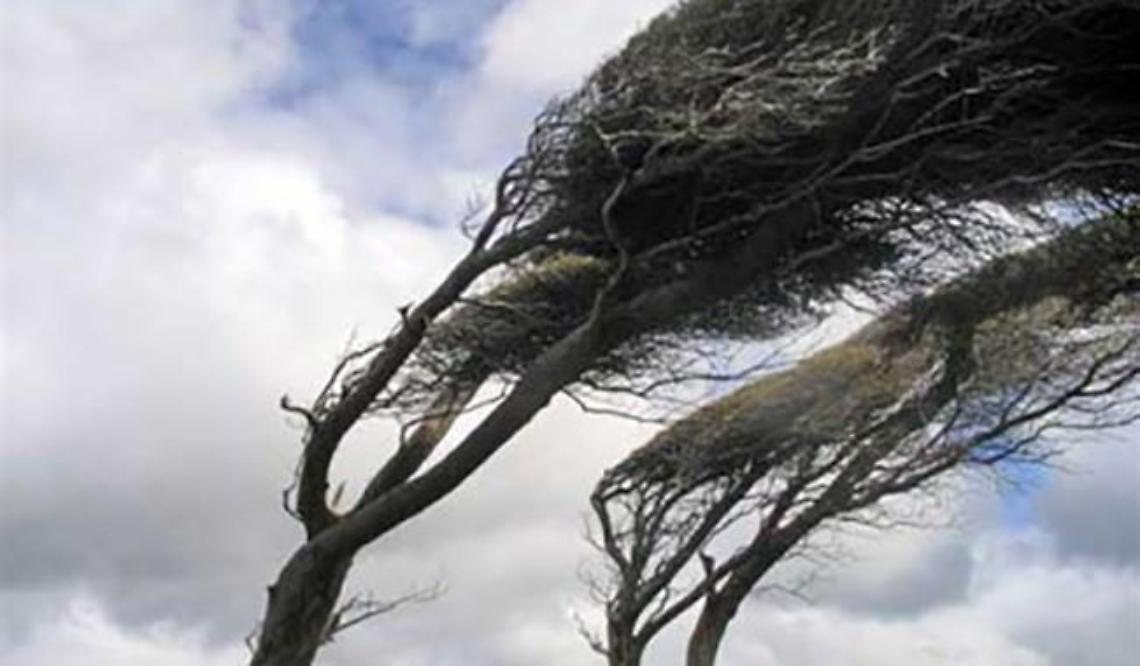 Maltempo, torna l'allerta meteo: previsti venti forti con raffiche di burrasca