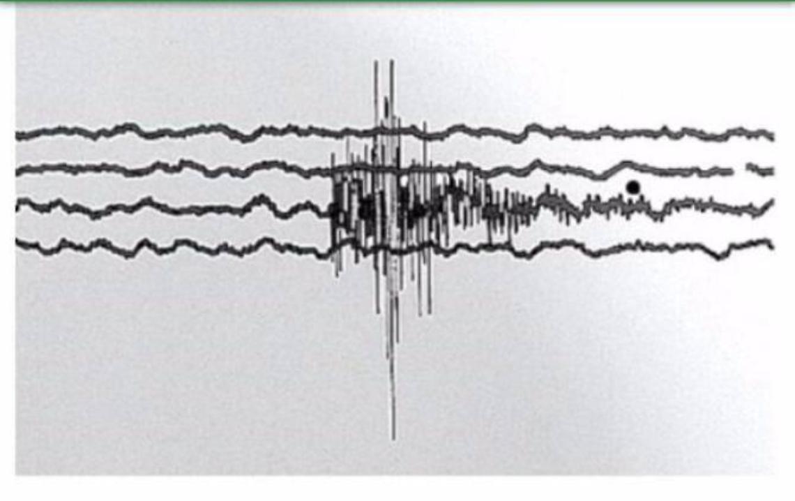 Terremoto, tutti...in allerta: la popolazione si prepara