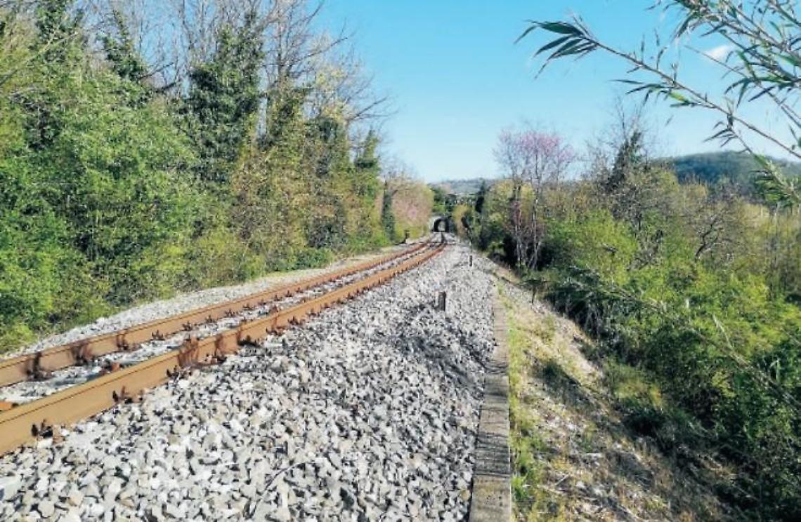 Cercatori di asparagi lungo i binari: in troppi rischiano