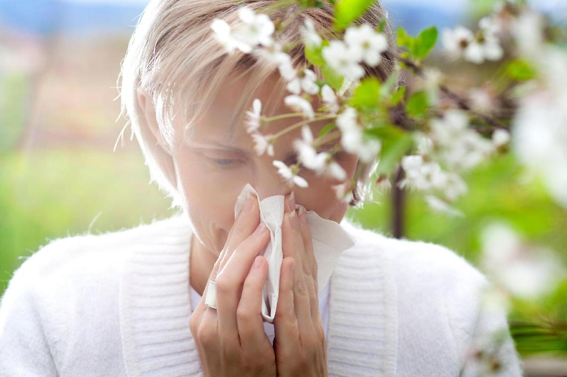 Primavera, allergie da pollini: sintomi, diagnosi e cura. Parla lo specialista
