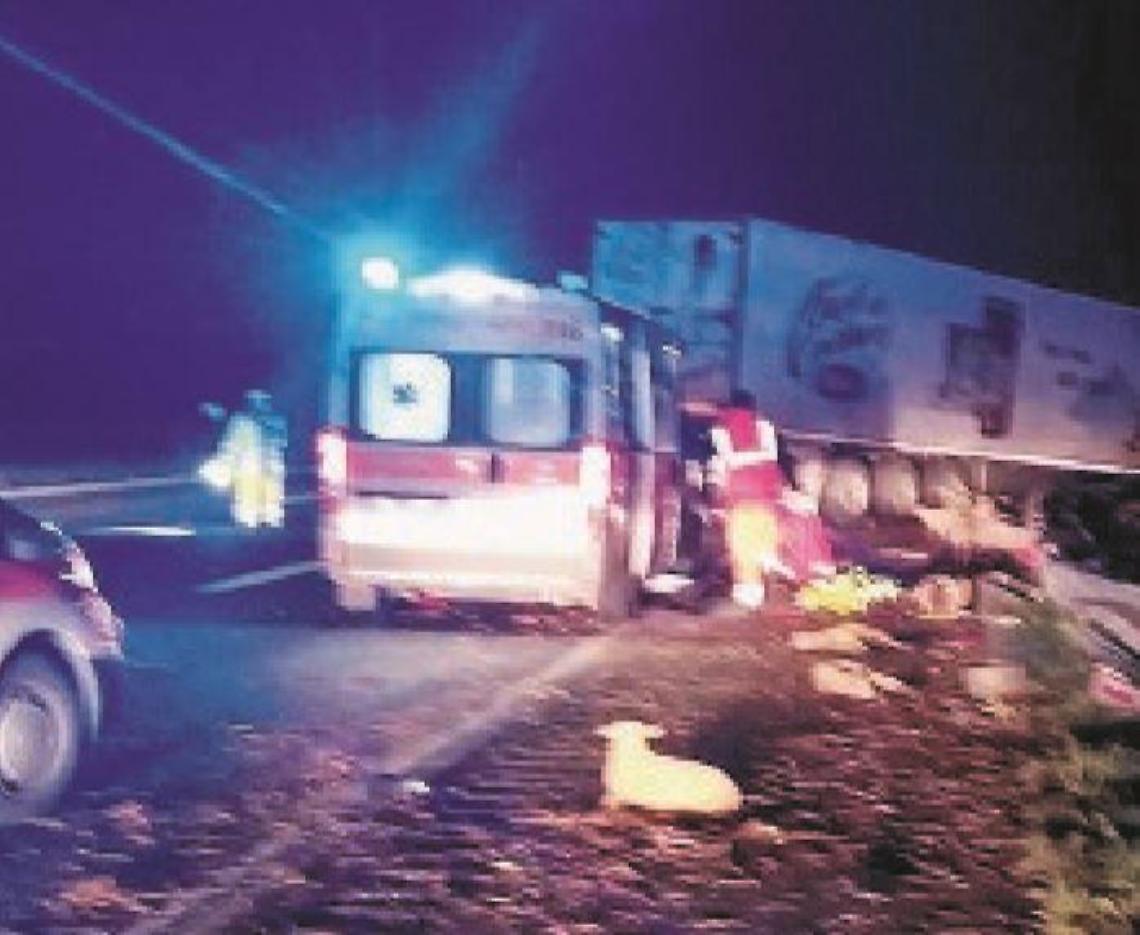 Autocarro finisce contro il guard rail e si ribalta: è strage di... agnelli