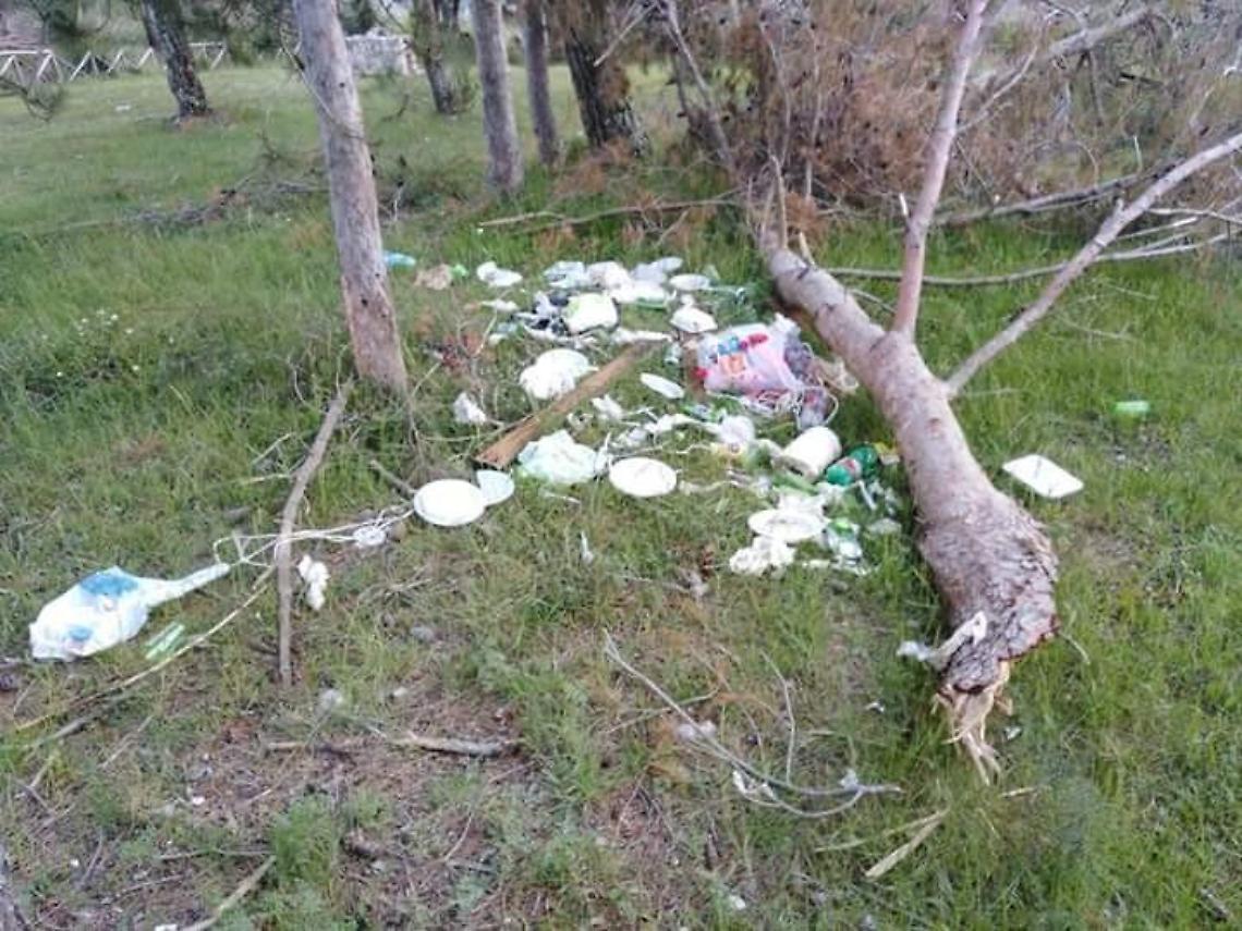 Incivili senza controlli, la pineta trasformata in una discarica