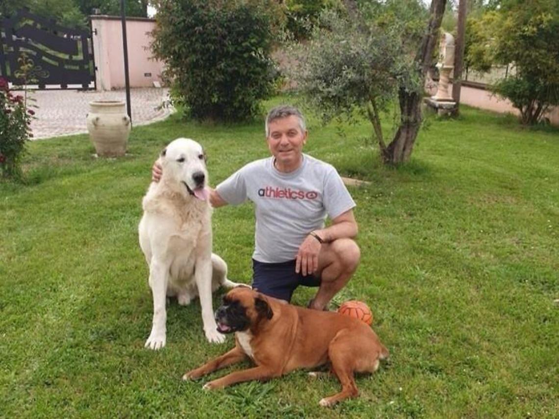 "Maltratta i suoi cani": ma è un attacco politico. Clima avvelenato