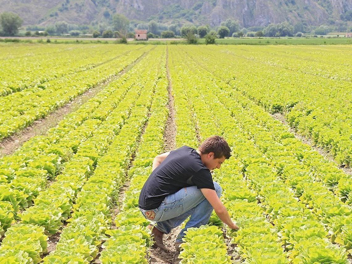 Agricoltura, risorse in arrivo per innovazione e formazione