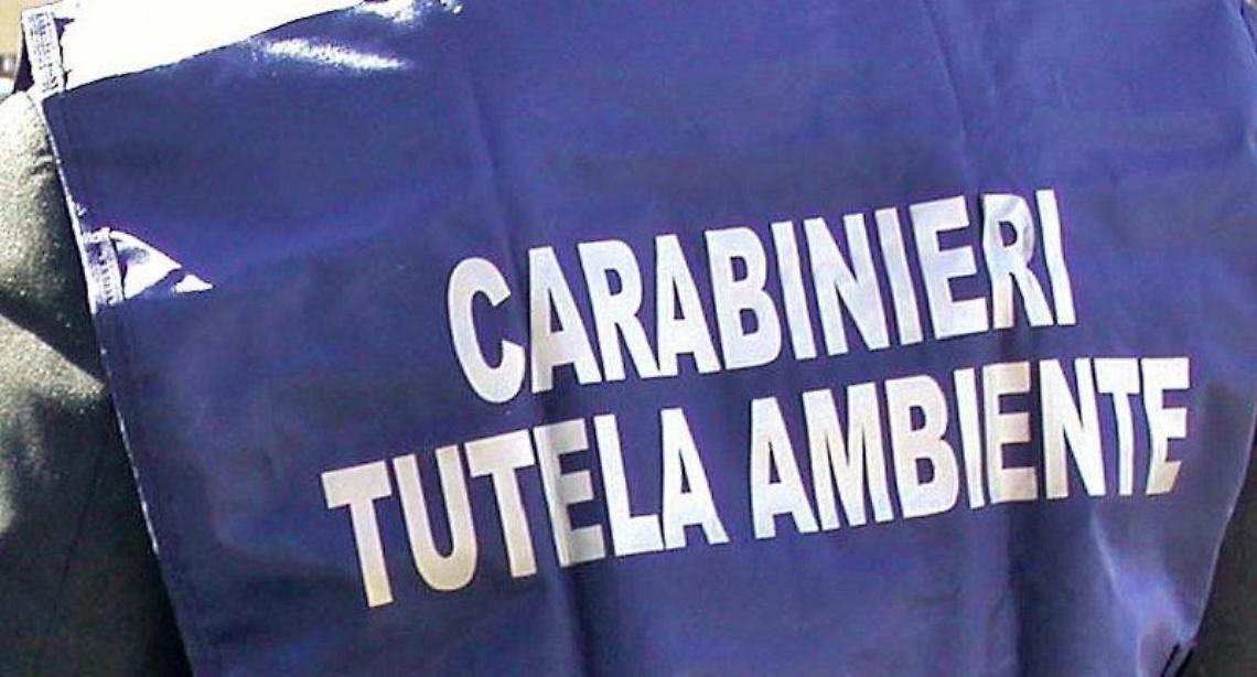 Traffico illecito di rifiuti, sequestri e perquisizioni tra Roma e Frosinone