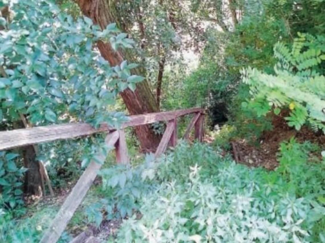 Giungla viale Mazzini, erbacce ovunque e la scalinata è... sparita