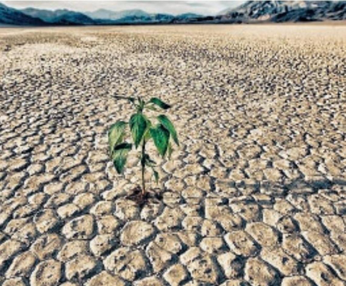 Rischio desertificazione: tra cambiamenti climatici, siccità e consumo del suolo