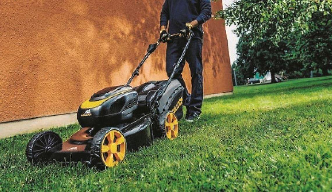 Si offrono di aiutarlo a tagliare l'erba. Poi rubano gli attrezzi e le... birre
