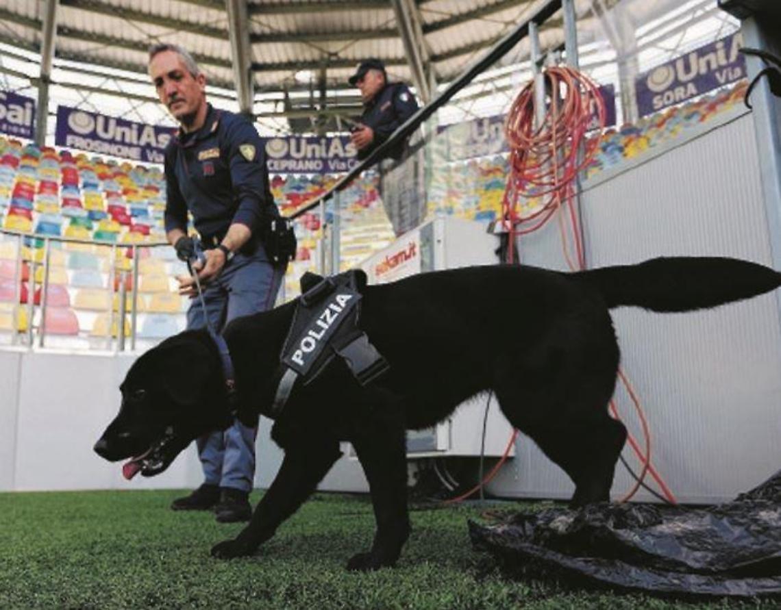 Una "tranquilla" serie A: cinque arresti e 12 daspo per i tifosi