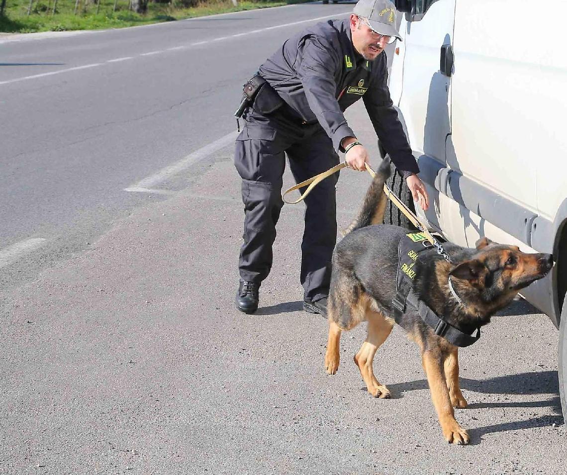 Cocaina tra i pannolini e il biberon: arrestata una coppia