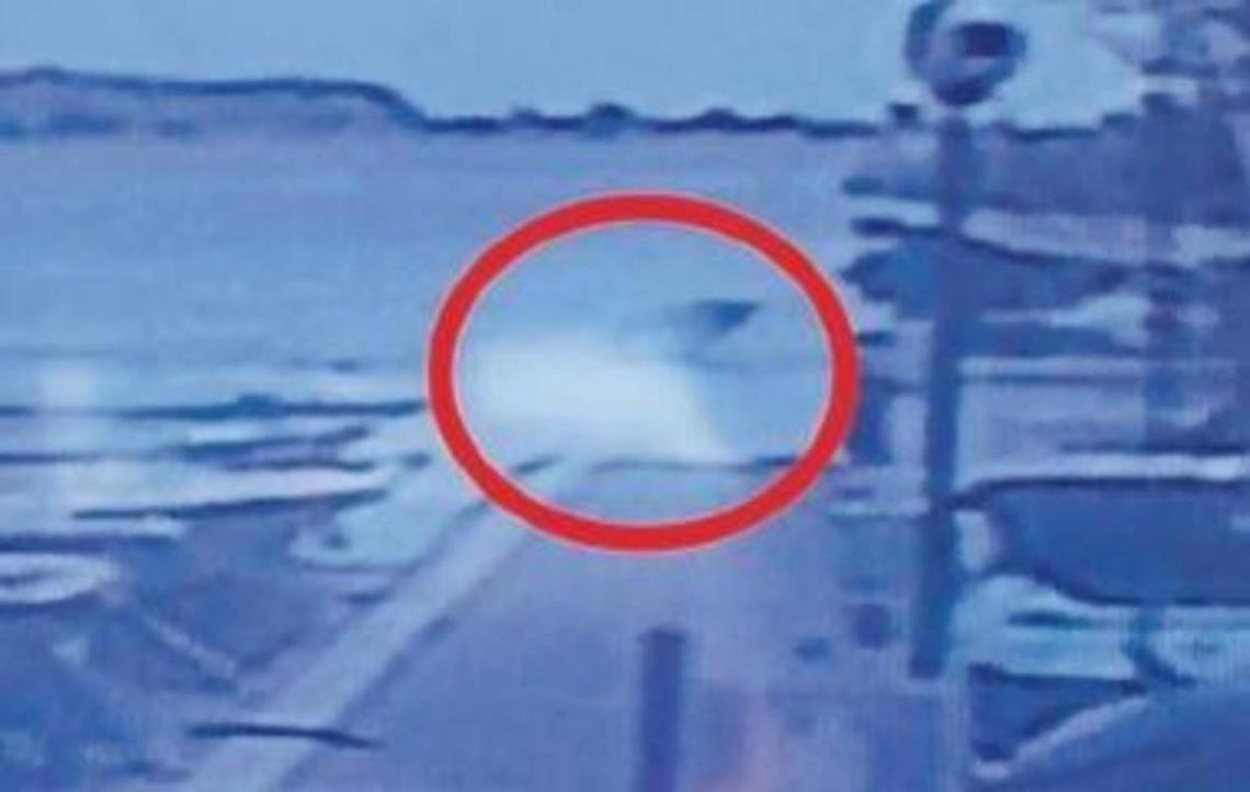 Spunta una pinna dal fiume Garigliano: «Forse uno squalo»