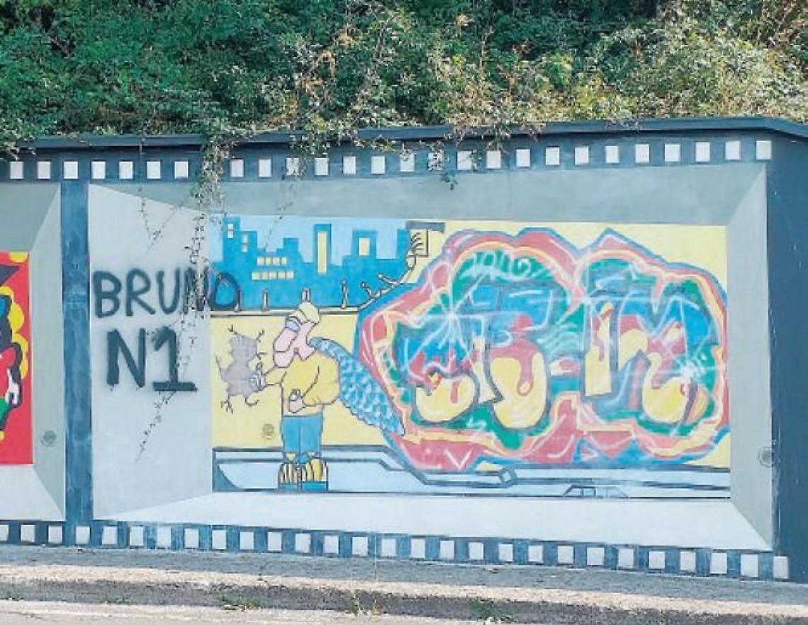 Frosinone, vandali all'opera: murales di via Ciamarra deturpati