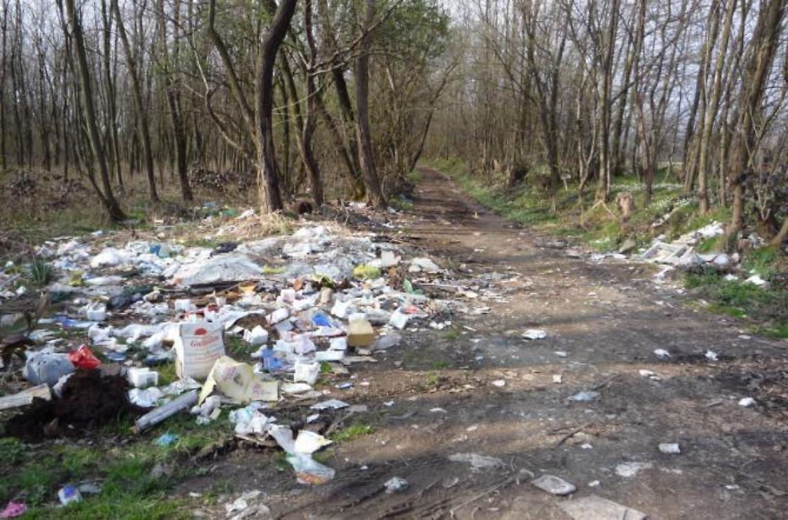 Immondizia e scarti ovunque: territorio deturpato da "rifiuto selvaggio"