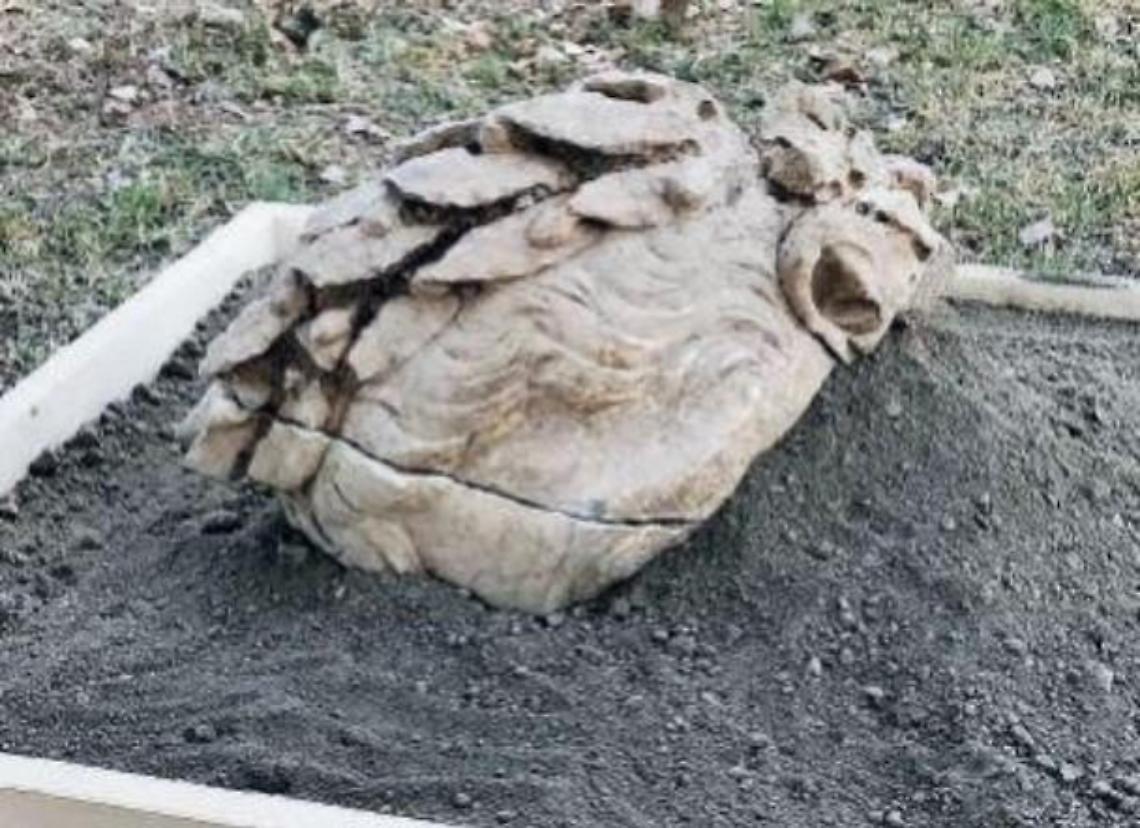 Scavi ad Aquinum: dopo Giulio Cesare spunta dalla terra Ottaviano Augusto