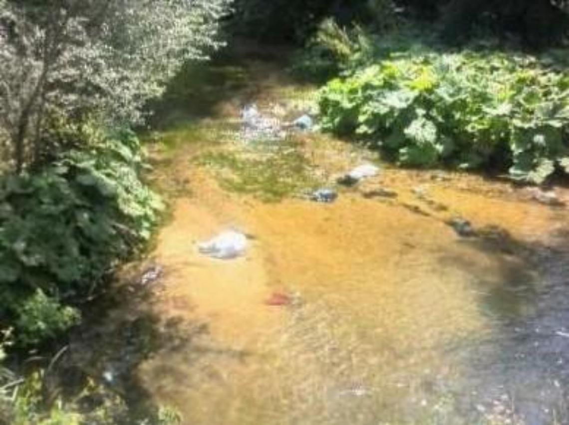 Inquinamento, rifiuti gettati nel Rapido: grido d'allarme degli ambientalisti