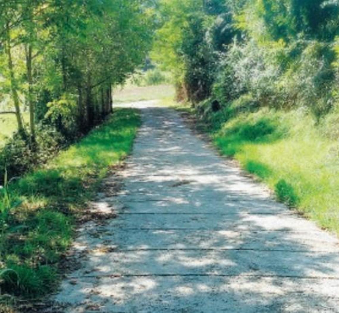 La via del Pellegrino finita nel dimenticatoio: appello al Comune
