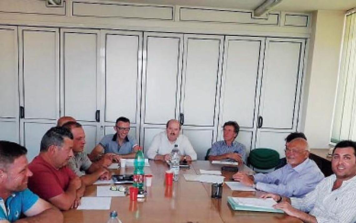 Cinghiali nei terreni agricoli privati: per la caccia servono nuove regole