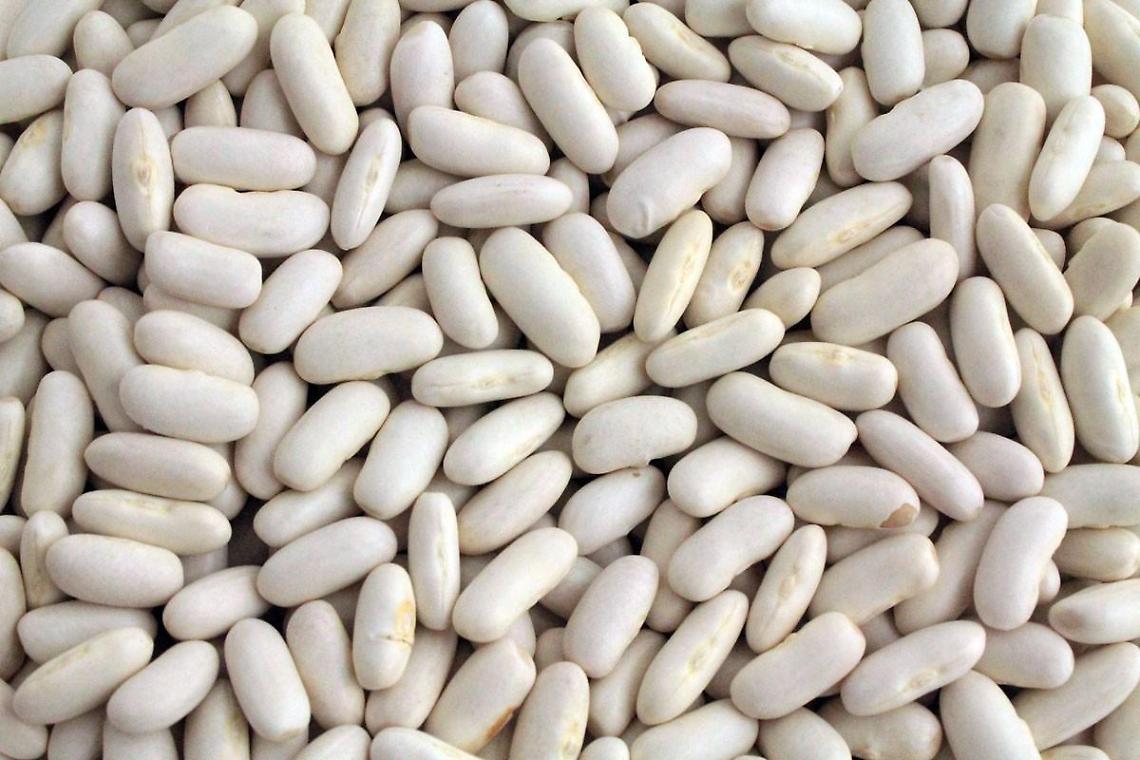 Prodotti tipici ed eccellenze locali per rilanciare l'economia
