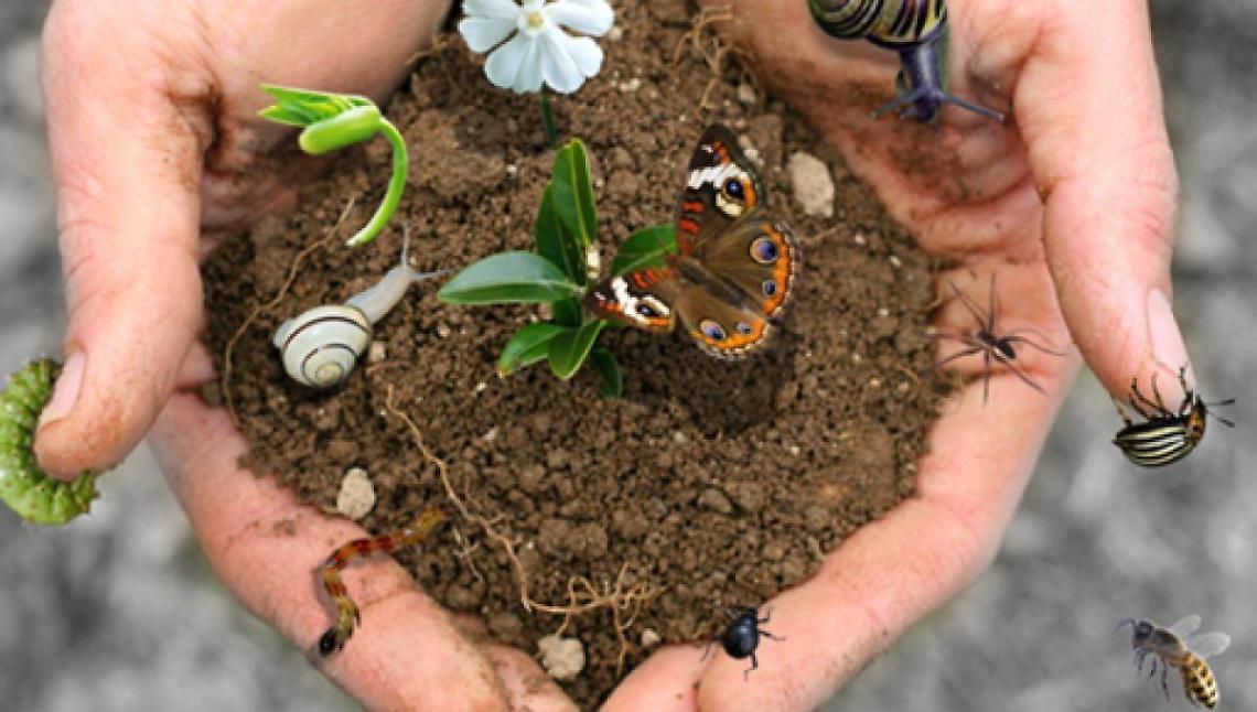 Ceprano: per rilanciare la citt&agrave; si punta sulla cucina e sulla biodiversit&agrave;