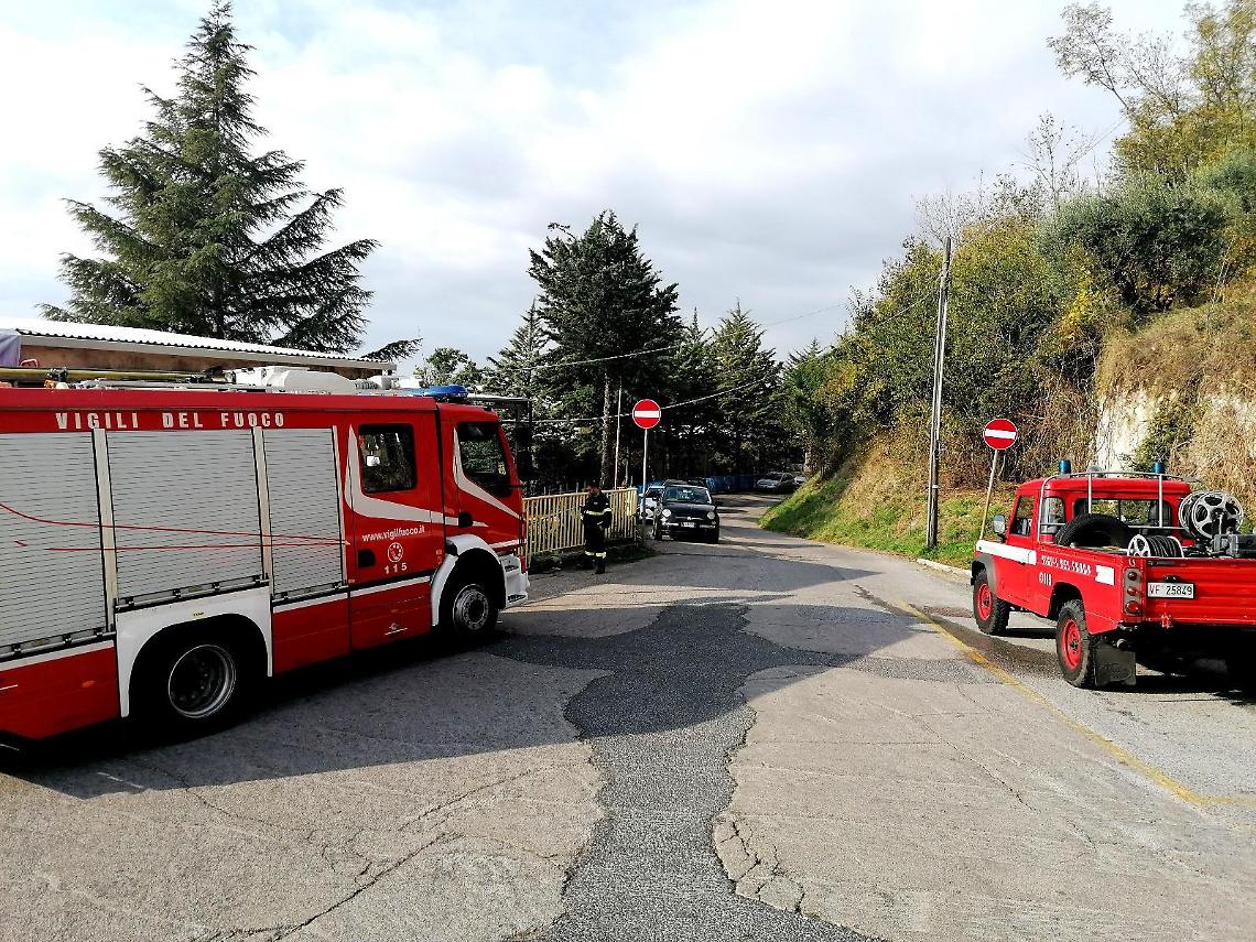 Allarme calabroni vicino la scuola, i vigili del fuoco sventano il pericolo