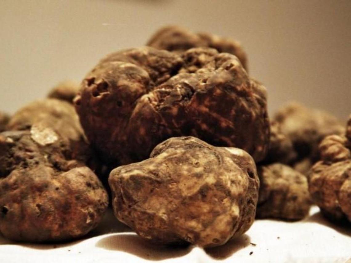 “Fiera del tartufo bianco e nero pregiato”: 4 giorni di festa per i buongustai